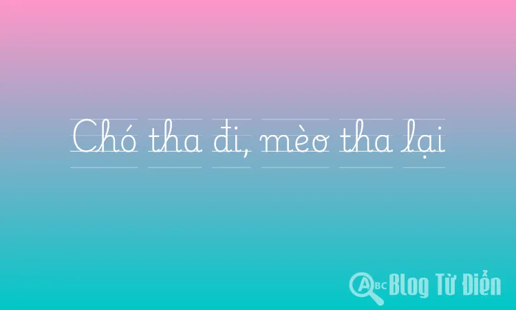 Chó tha đi, mèo tha lại