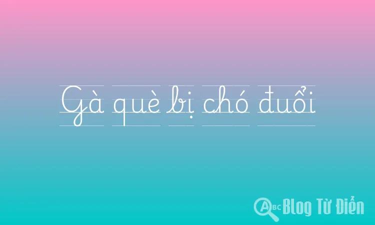 Gà què bị chó đuổi