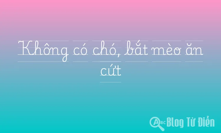 Không có chó, bắt mèo ăn cứt