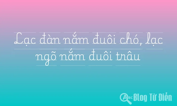 Lạc đàn nắm đuôi chó, lạc ngõ nắm đuôi trâu