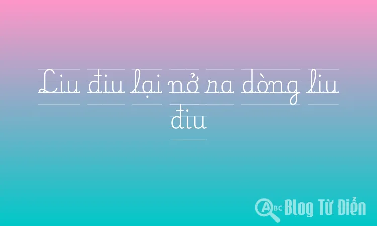 Liu điu lại nở ra dòng liu điu