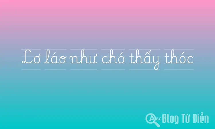 Lơ láo như chó thấy thóc