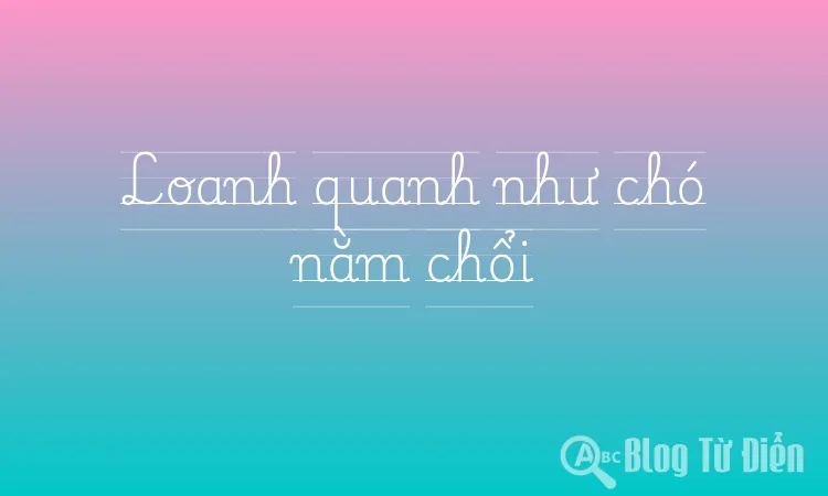 Loanh quanh như chó nằm chổi