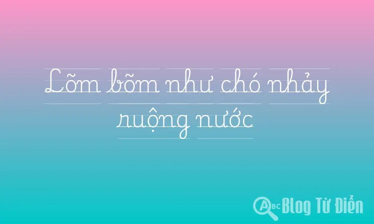 Lõm bõm như chó nhảy ruộng nước