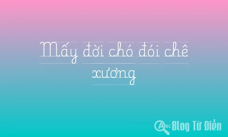 Mấy đời chó đói chê xương