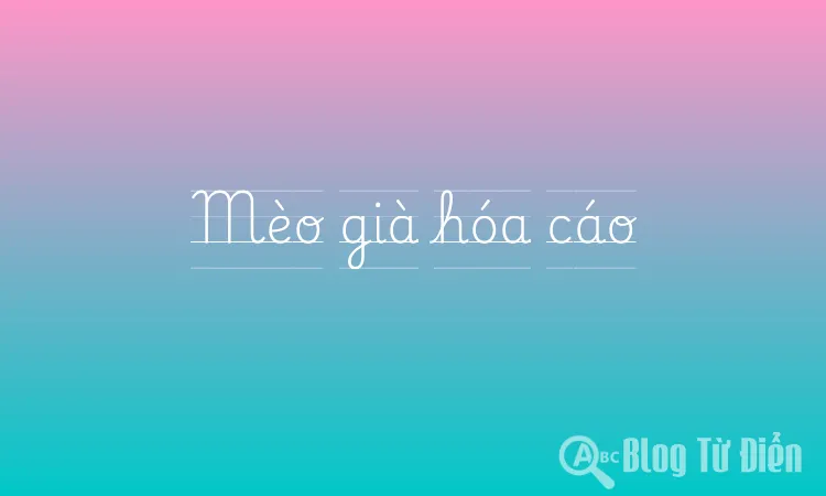 Mèo già hóa cáo