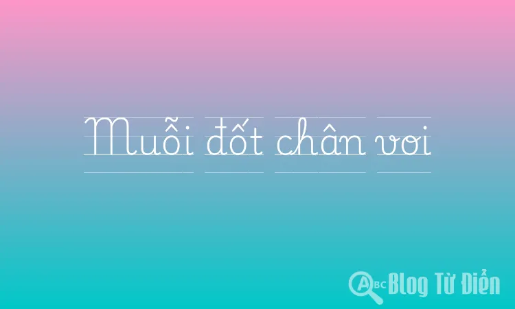 Muỗi đốt chân voi