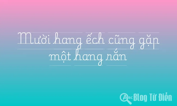 Mười hang ếch cũng gặp một hang rắn
