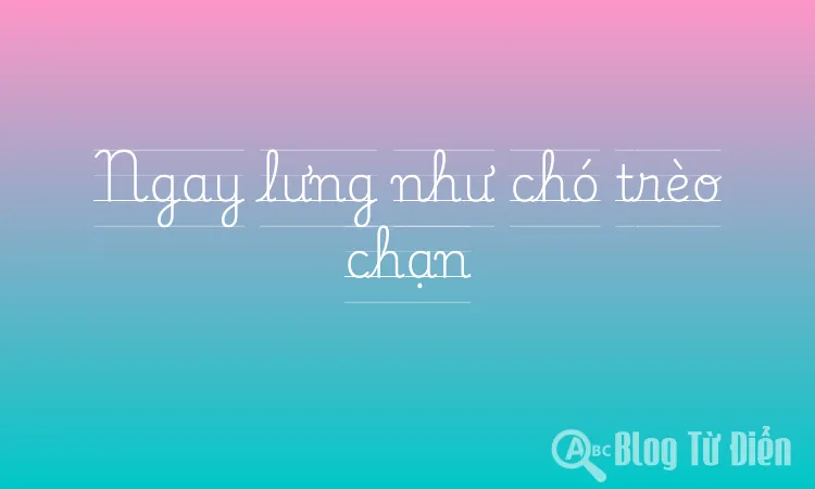 Ngay lưng như chó trèo chạn