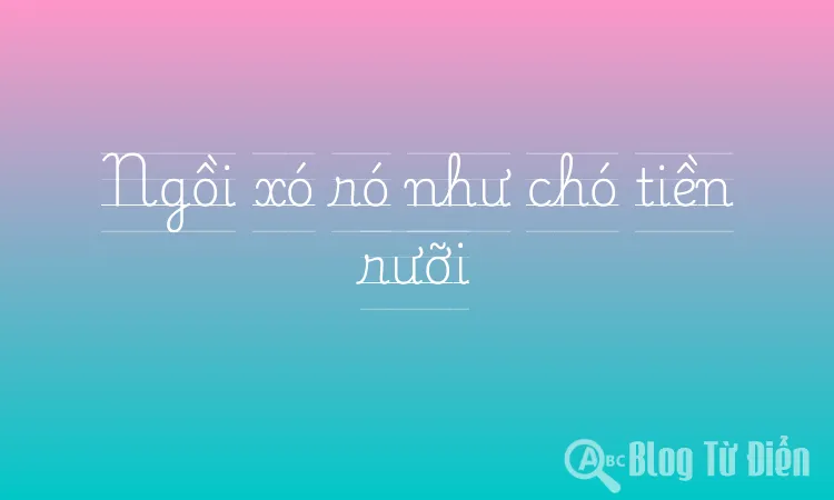 Ngồi xó ró như chó tiền rưỡi