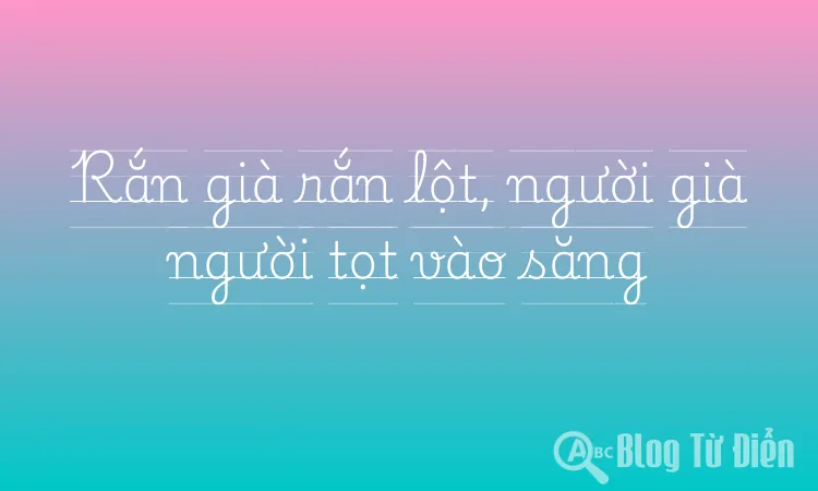 Rắn già rắn lột, người già người tọt vào săng
