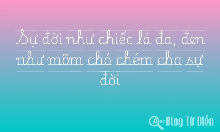 Sự đời như chiếc lá đa, đen như mõm chó chém cha sự đời