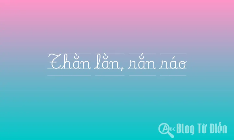 Thằn lằn, rắn ráo