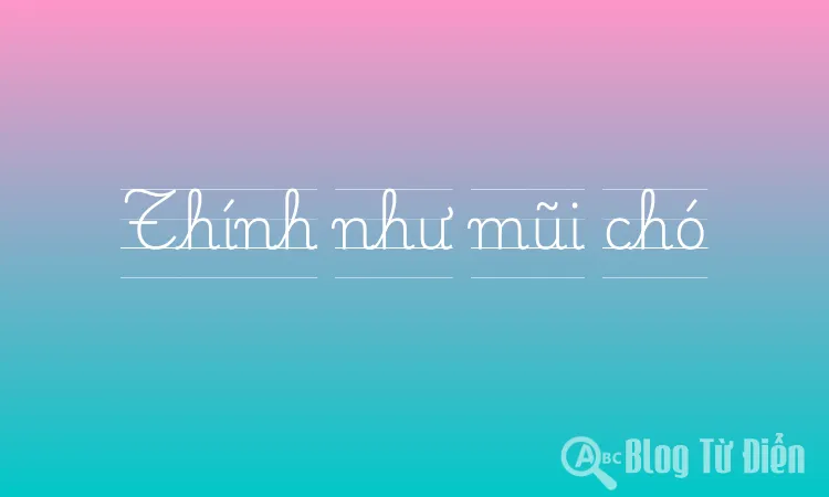 Thính như mũi chó