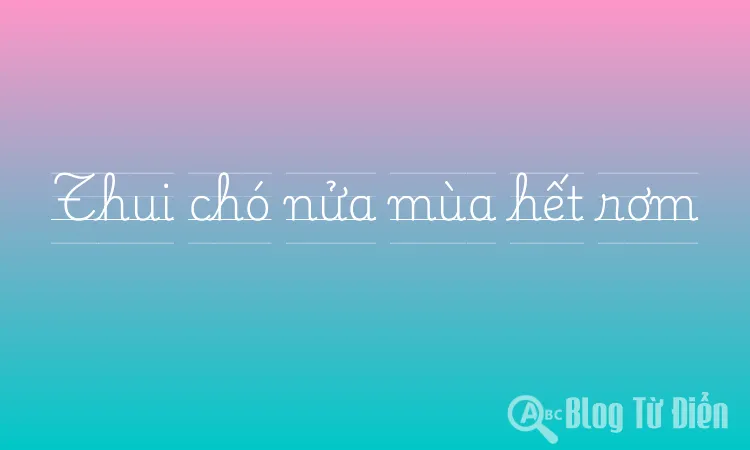 Thui chó nửa mùa hết rơm