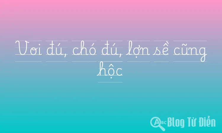 Voi đú, chó đú, lợn sề cũng hộc