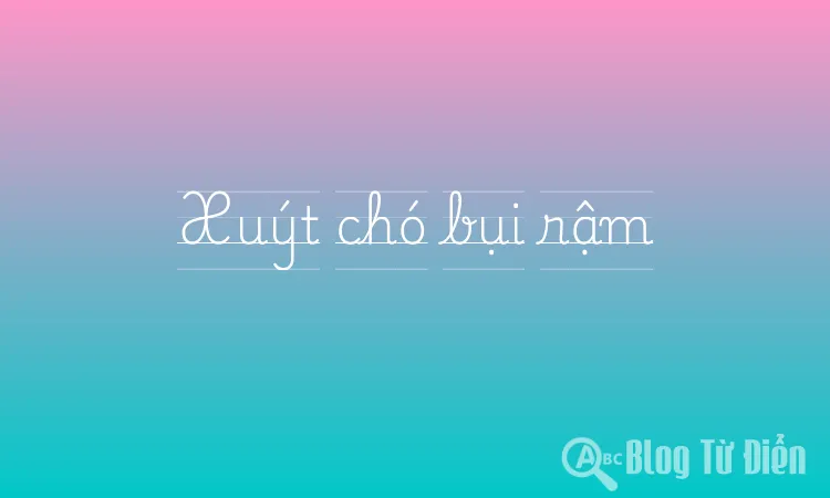 Xuýt chó bụi rậm