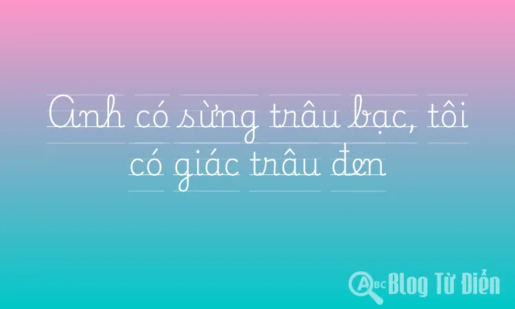 Anh có sừng trâu bạc, tôi có giác trâu đen