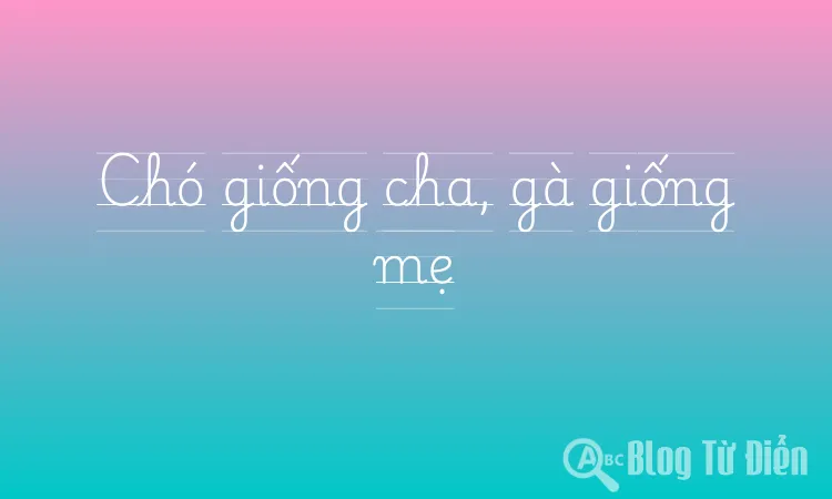 Chó giống cha, gà giống mẹ