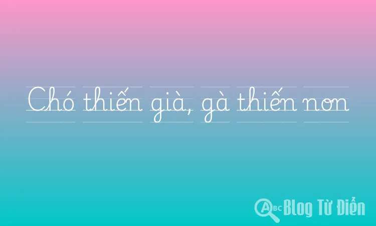 Chó thiến già, gà thiến non