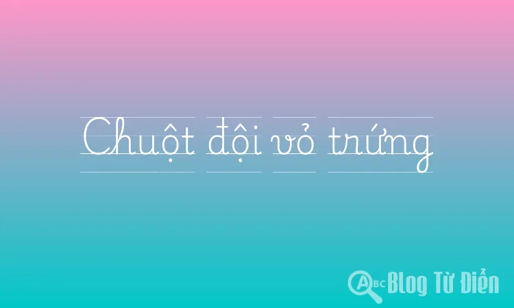Chuột đội vỏ trứng