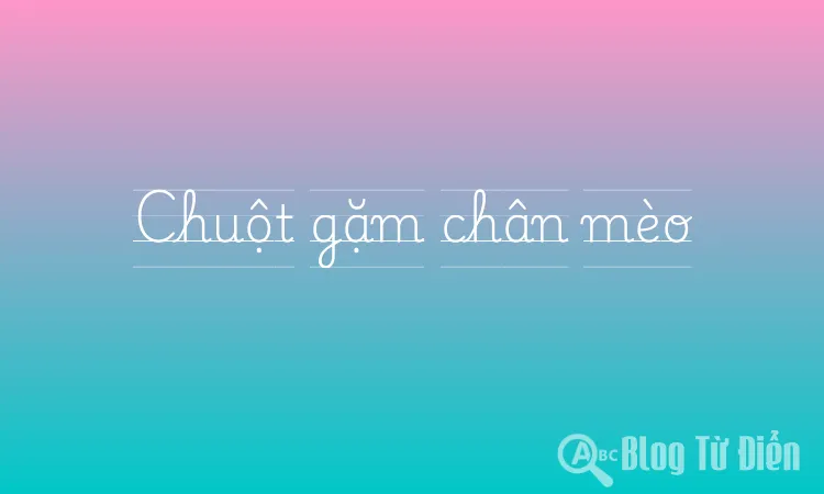 Chuột gặm chân mèo