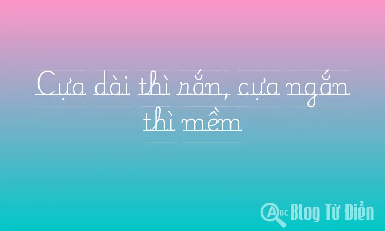 Cựa dài thì rắn, cựa ngắn thì mềm