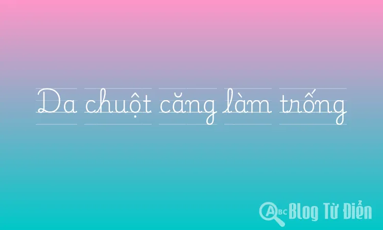 Da chuột căng làm trống