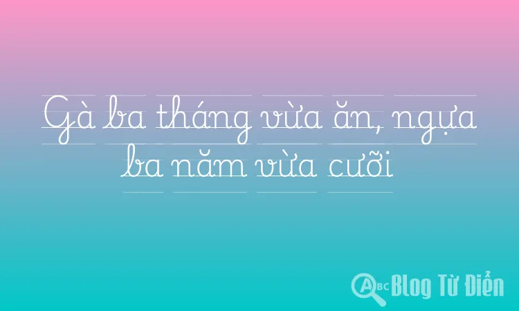 Gà ba tháng vừa ăn, ngựa ba năm vừa cưỡi