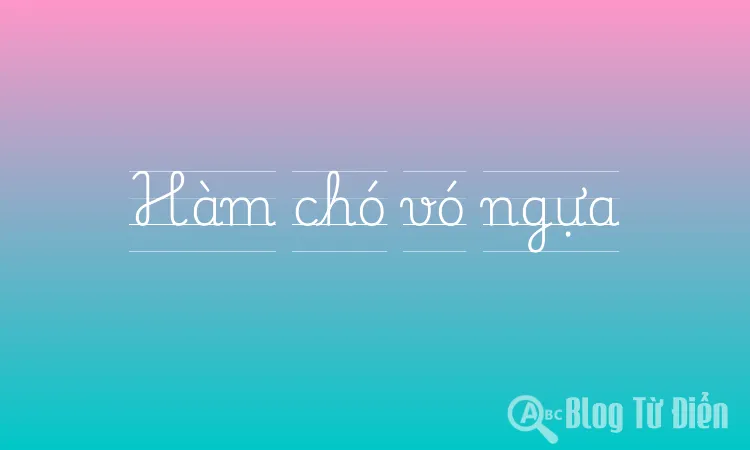 Hàm chó vó ngựa