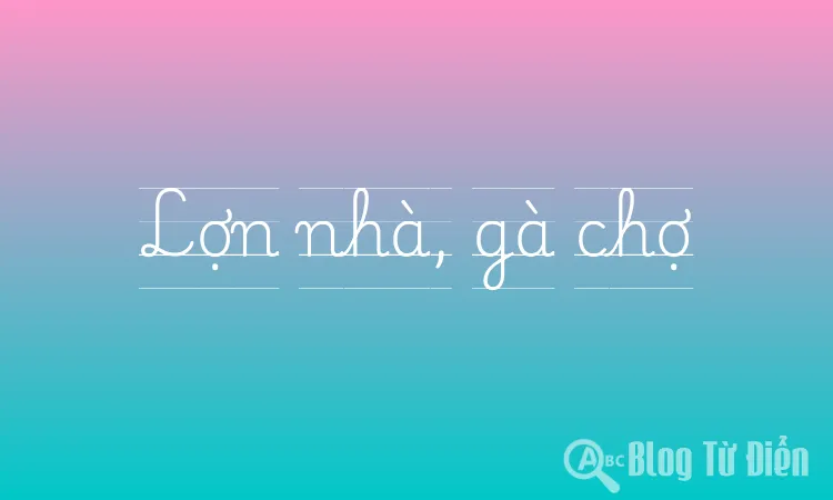 Lợn nhà, gà chợ