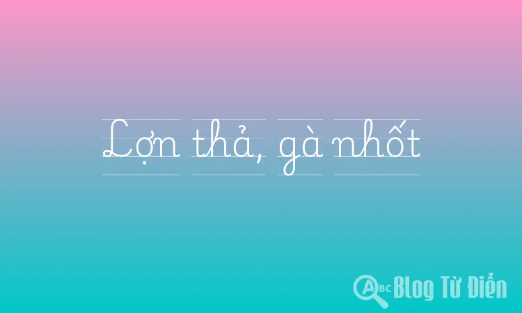 Lợn thả, gà nhốt