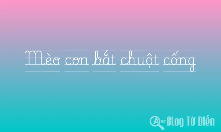 Mèo con bắt chuột cống