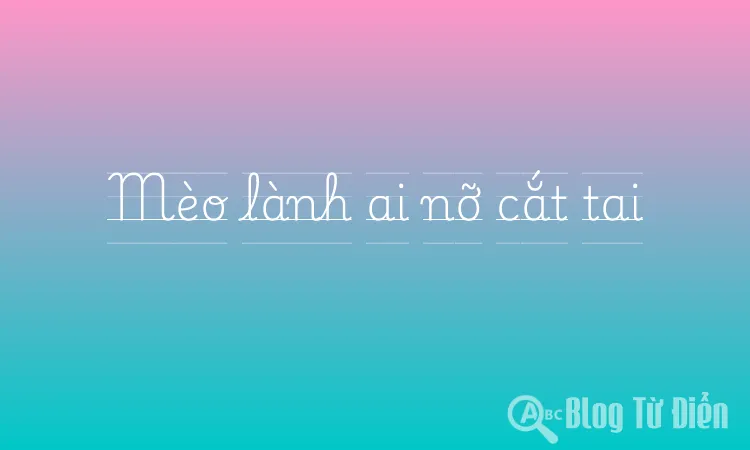 Mèo lành ai nỡ cắt tai