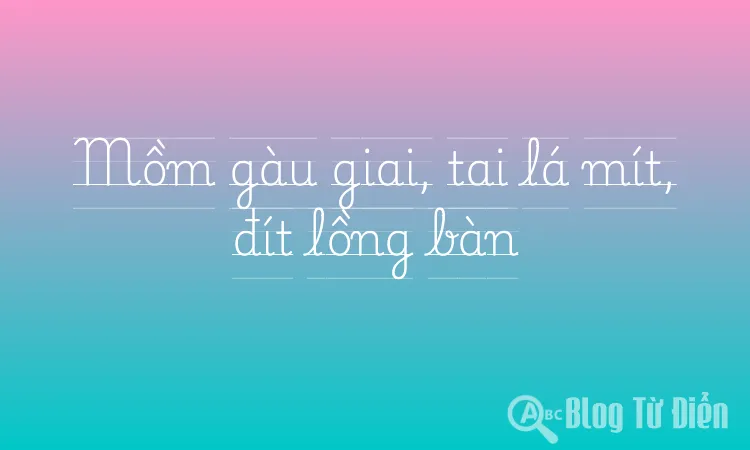 Mồm gàu giai, tai lá mít, đít lồng bàn