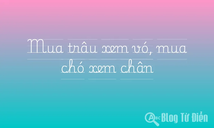 Mua trâu xem vó, mua chó xem chân