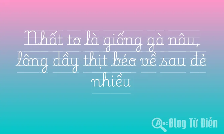 Nhất to là giống gà nâu, lông dầy thịt béo về sau đẻ nhiều
