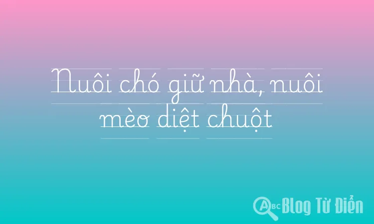 Nuôi chó giữ nhà, nuôi mèo diệt chuột