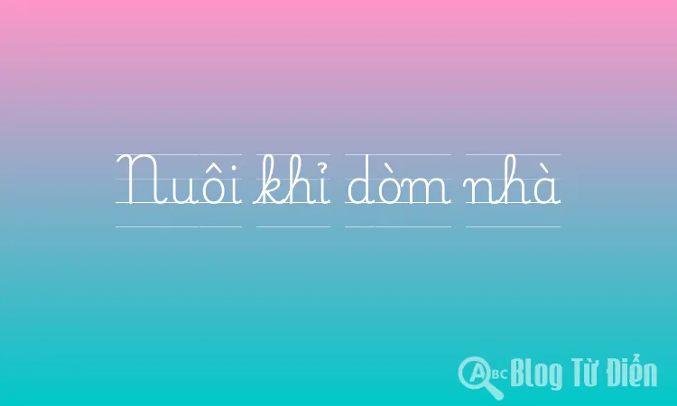 Nuôi khỉ dòm nhà