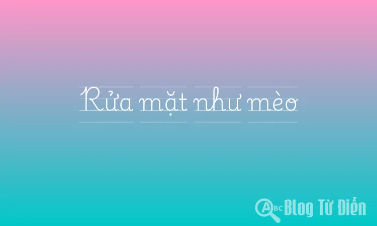 Rửa mặt như mèo