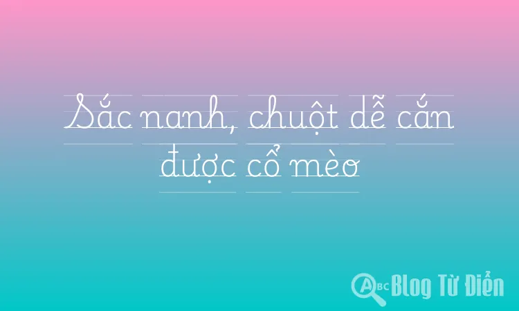 Sắc nanh, chuột dễ cắn được cổ mèo