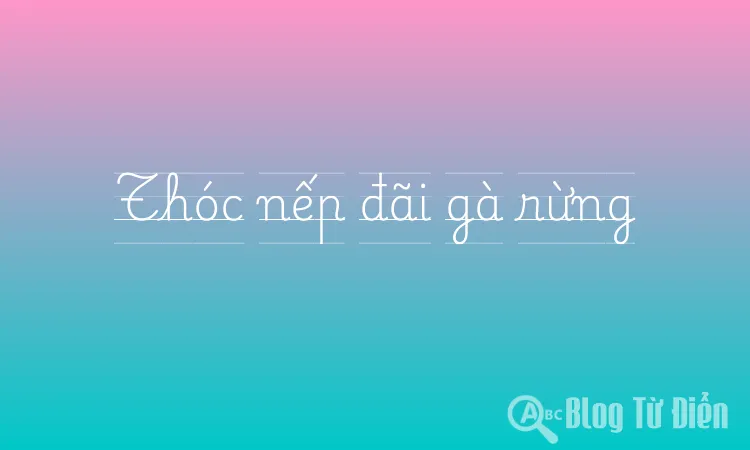 Thóc nếp đãi gà rừng