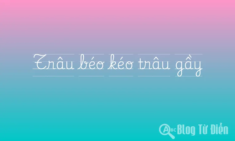 Trâu béo kéo trâu gầy