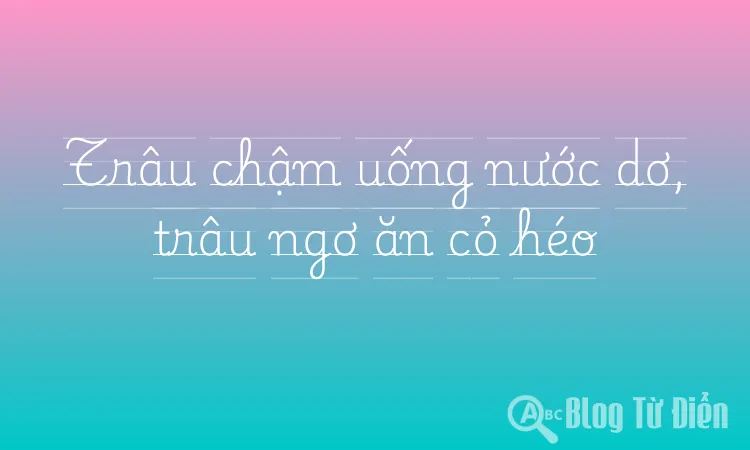 Trâu chậm uống nước dơ, trâu ngơ ăn cỏ héo