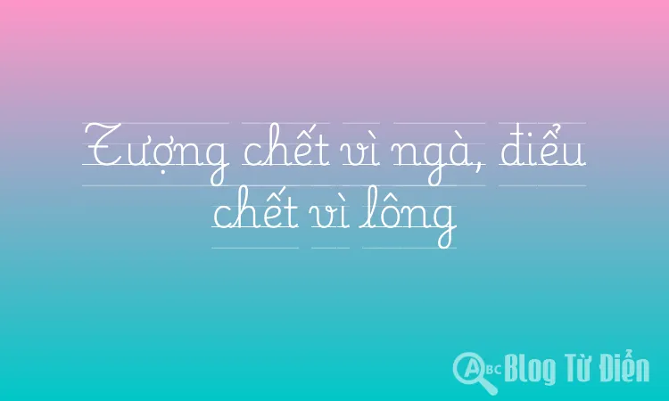 Tượng chết vì ngà, điểu chết vì lông