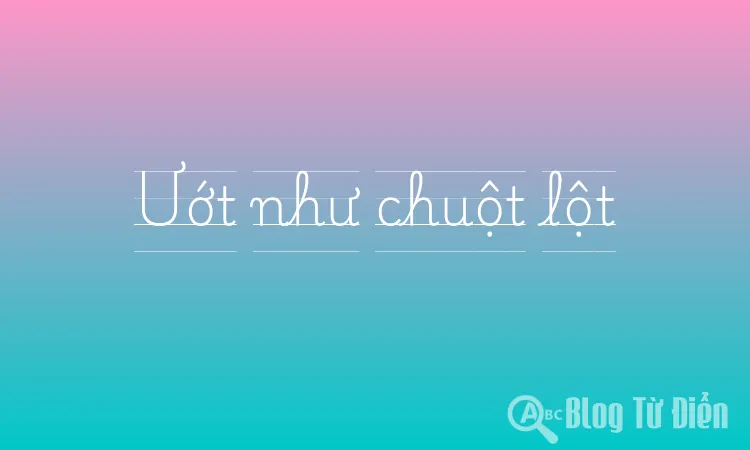 Ướt như chuột lột