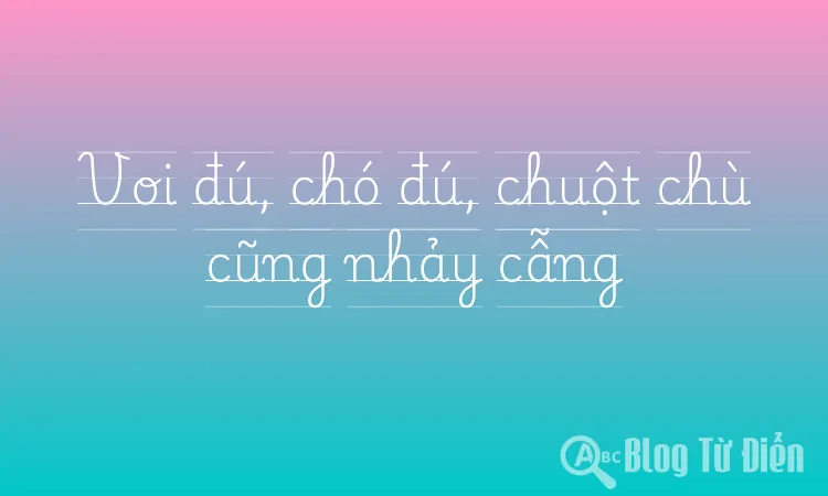 Voi đú, chó đú, chuột chù cũng nhảy cẫng